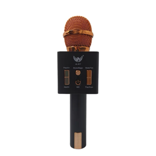 Microfone Com caixa de som KARAOKE